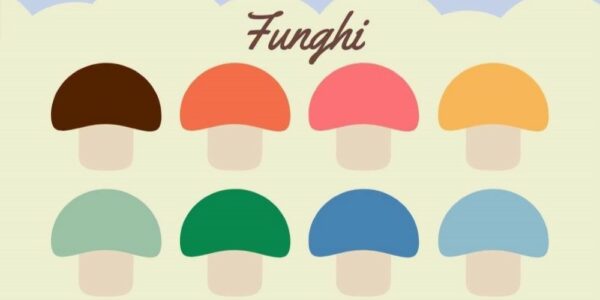 Incontri di botanica: I Funghi / Atessa, 18 aprile 2026