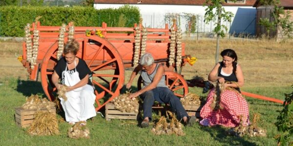 Sagra dell’aglio rosso di Sulmona / Campo di Fano di Prezza, 11-12 luglio 2025