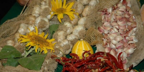 Sagra dell’Aglio Rosso di Sulmona –  Campo di Fano – Prezza (AQ), 10 e 11 luglio 2026