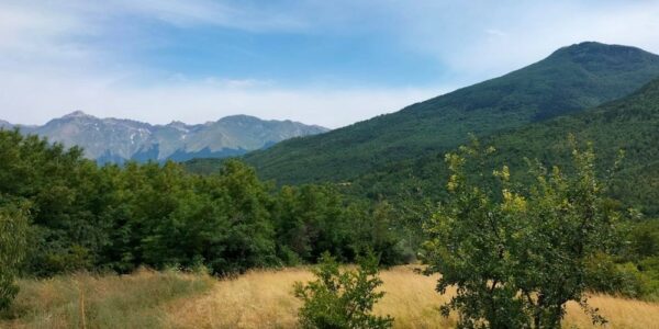 Porte Aperte in Pro Loco / Aquilano di Tossicia, 12 luglio 2026
