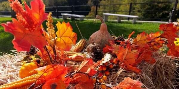 Festa d’Autunno / Barrea, 1° novembre 2026